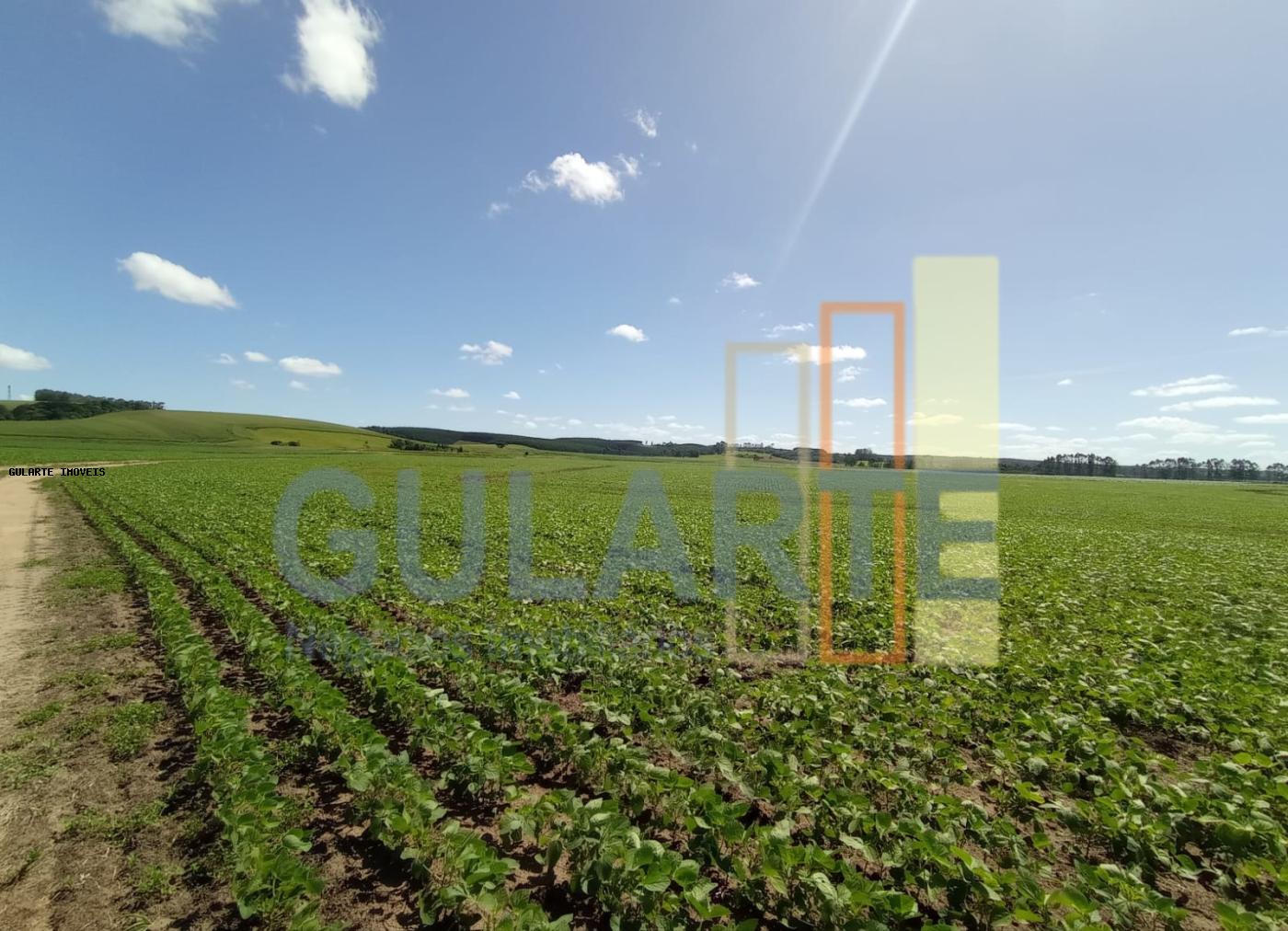 Fazenda, 360 hectares - Foto 1