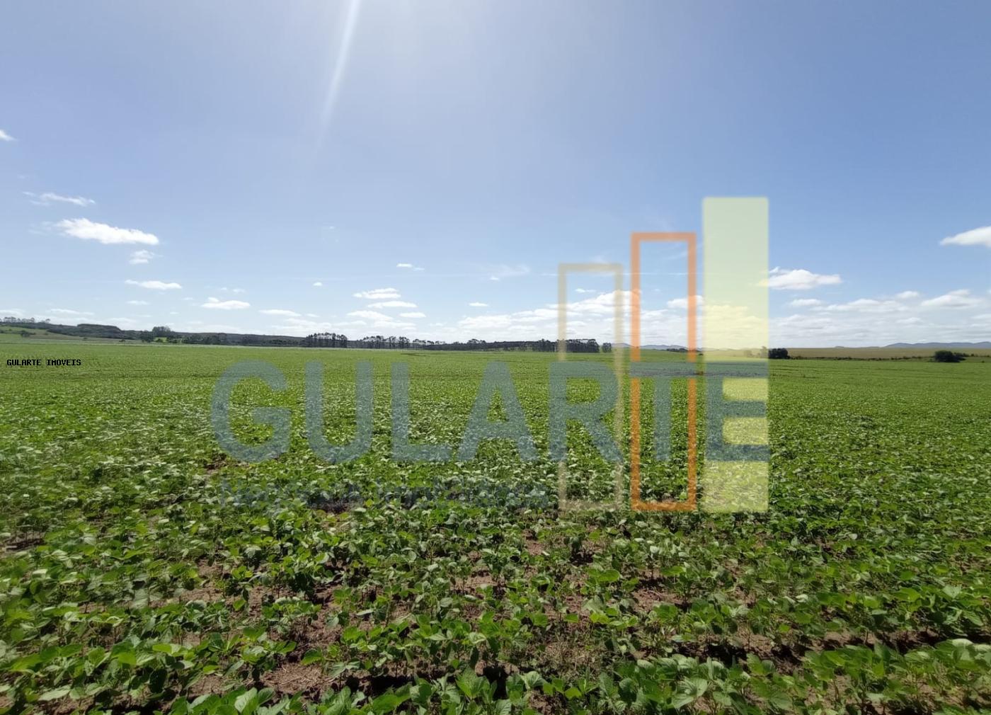 Fazenda, 360 hectares - Foto 4