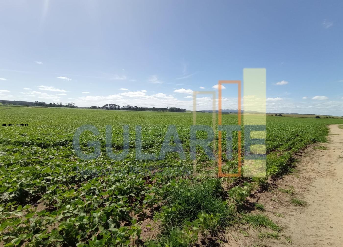 Fazenda, 360 hectares - Foto 3