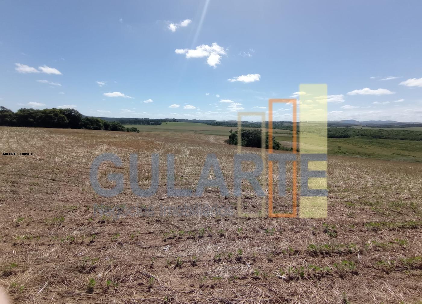 Fazenda, 360 hectares - Foto 5