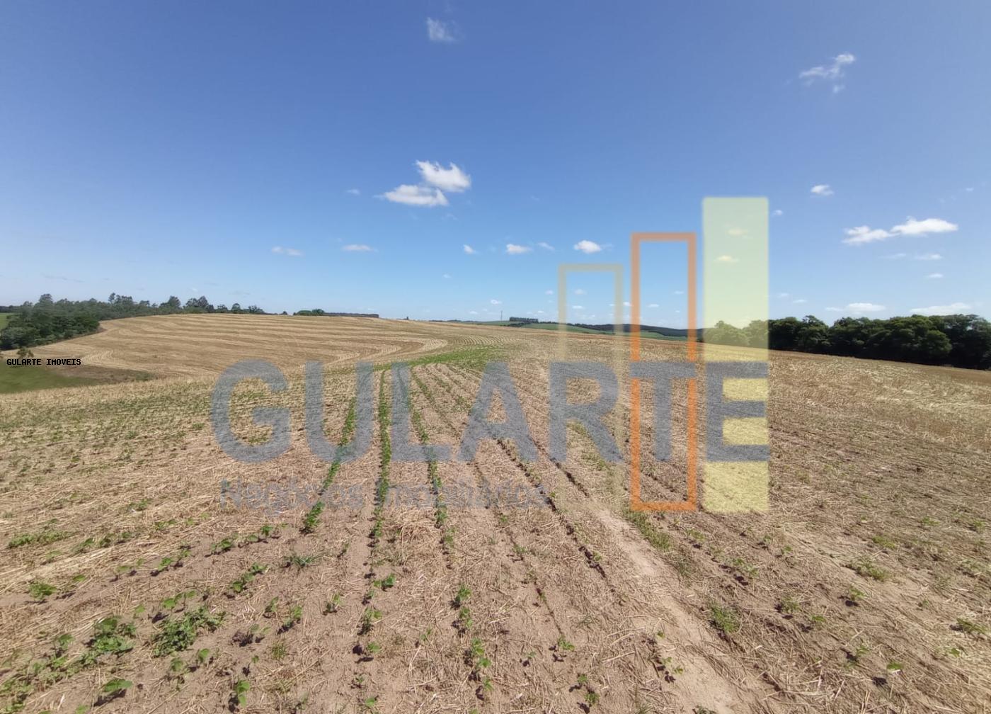 Fazenda, 360 hectares - Foto 7