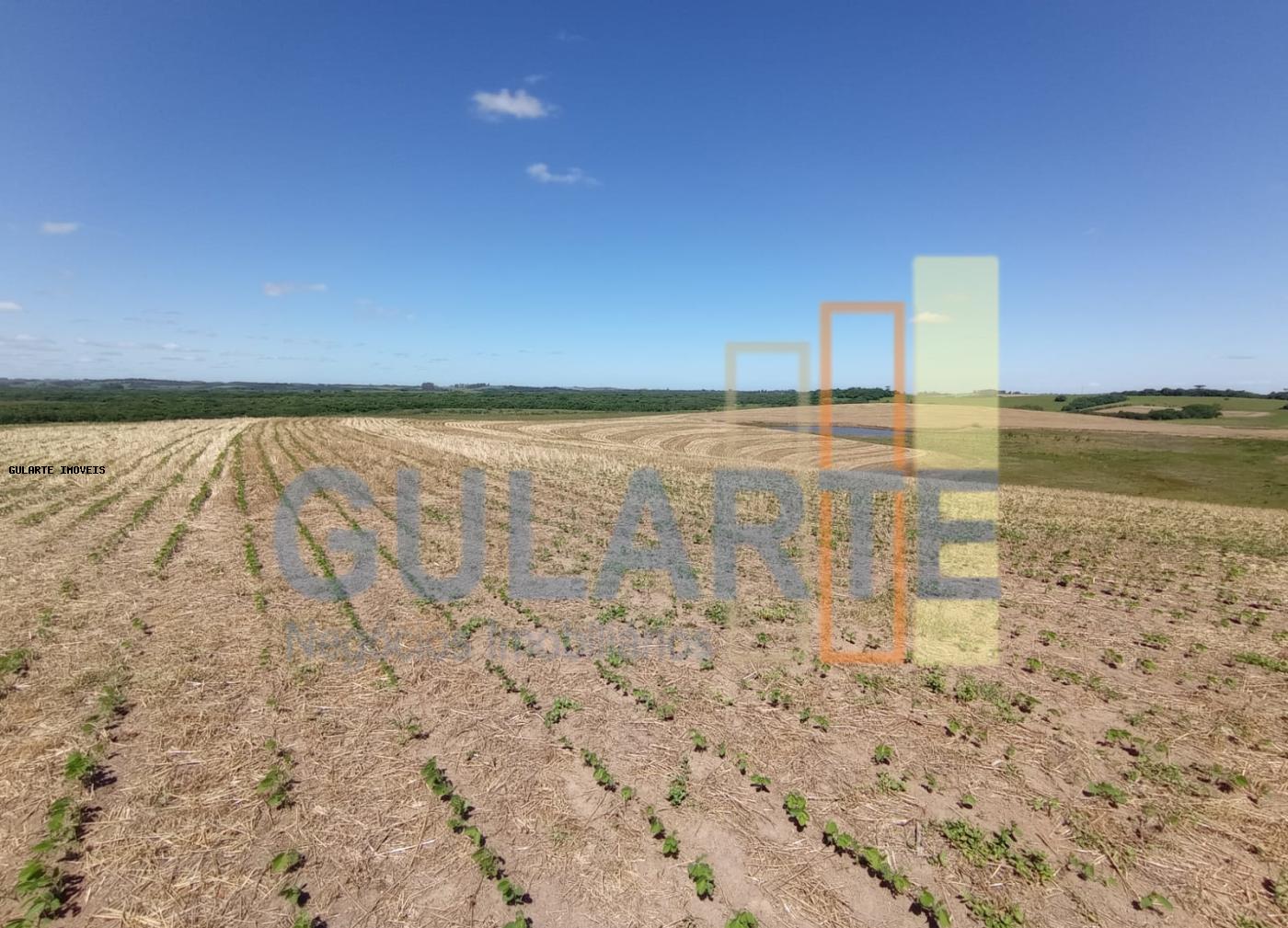 Fazenda, 360 hectares - Foto 6