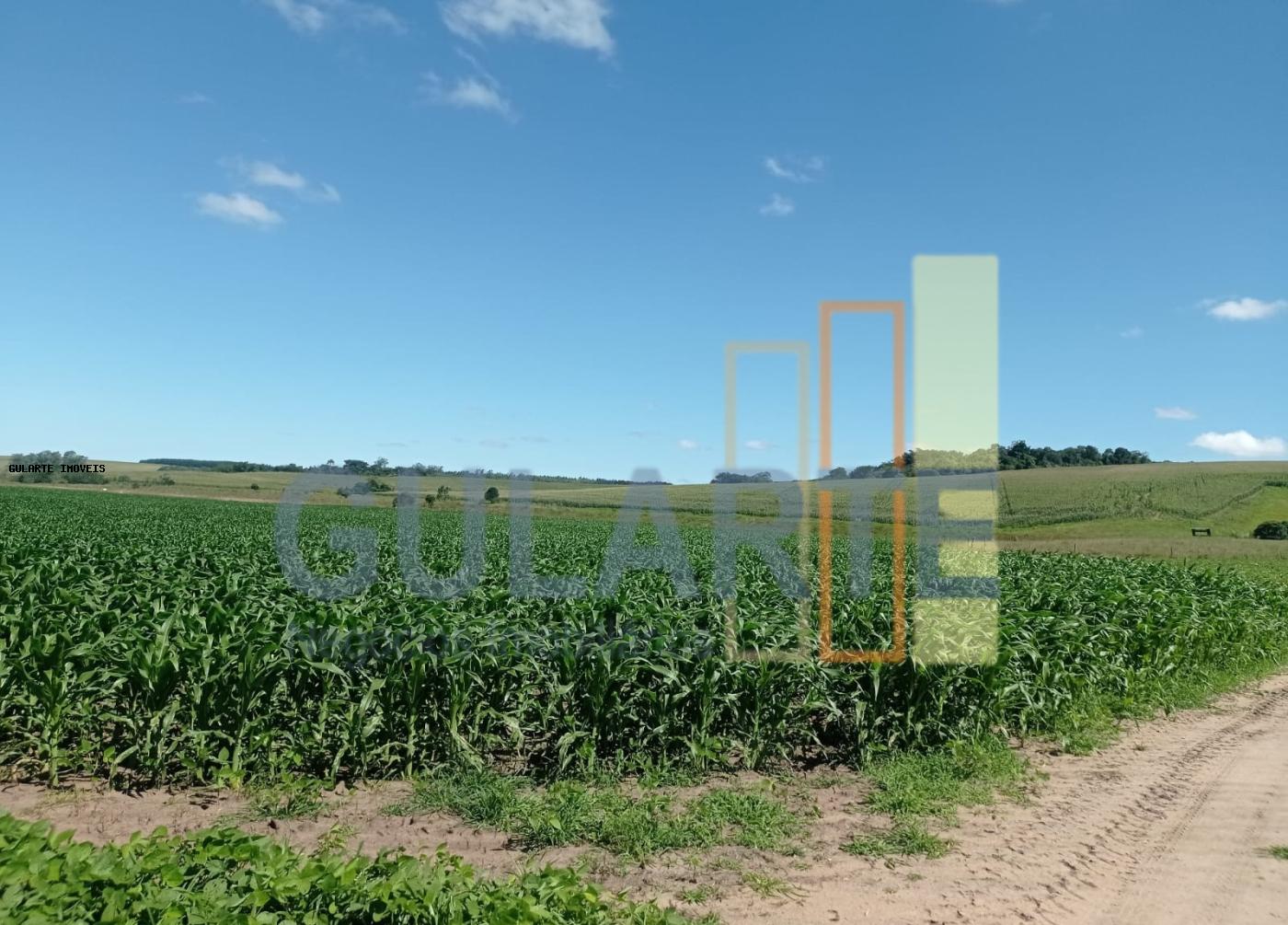 Fazenda, 360 hectares - Foto 9