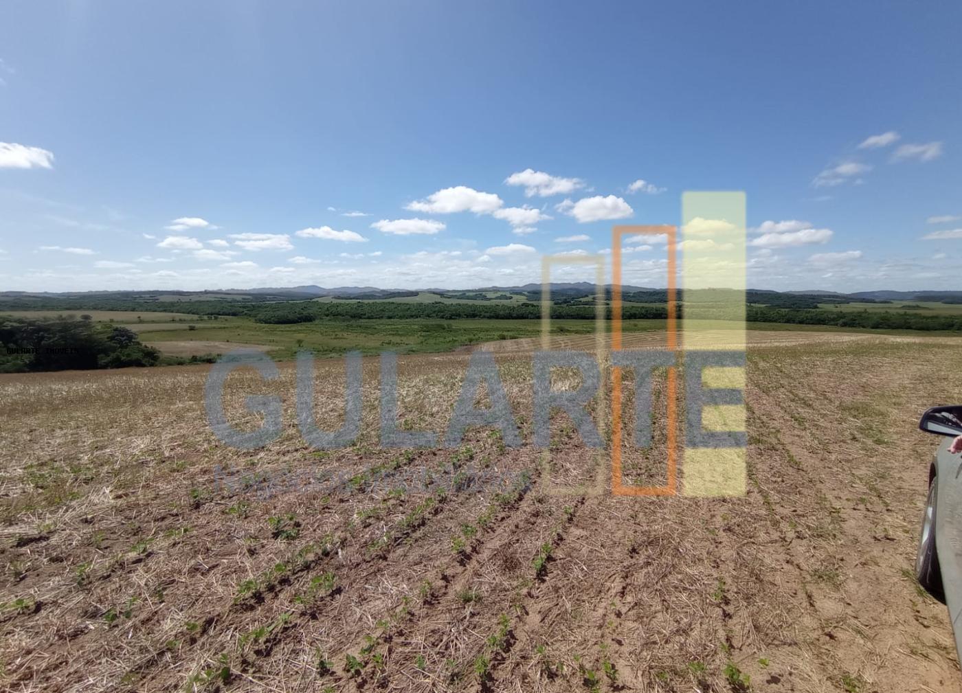 Fazenda, 360 hectares - Foto 8