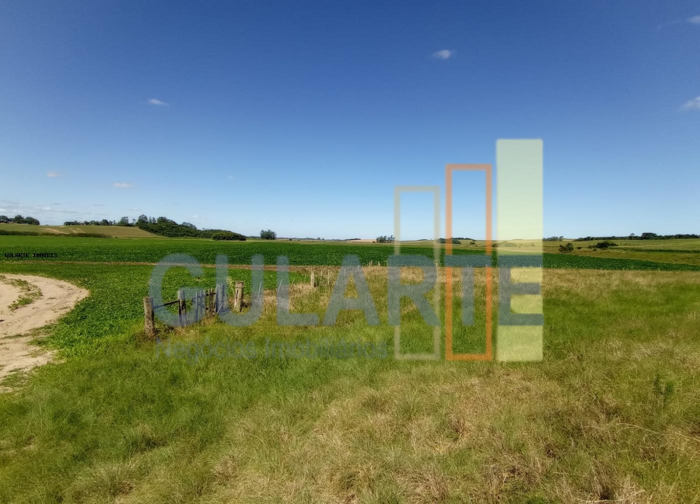 Fazenda, 360 hectares - Foto 11