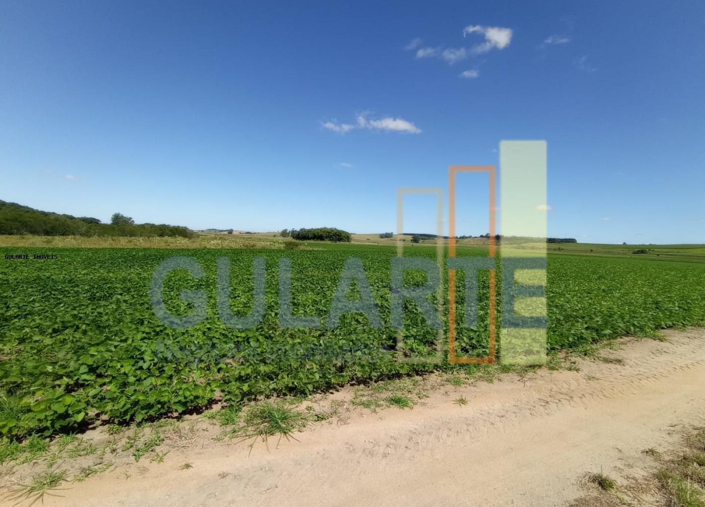 Fazenda, 360 hectares - Foto 10