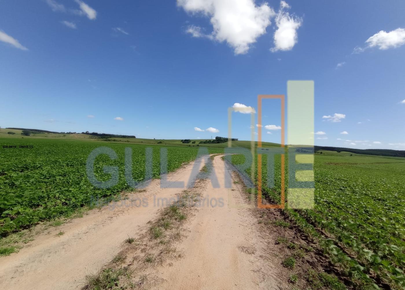 Fazenda, 360 hectares - Foto 12