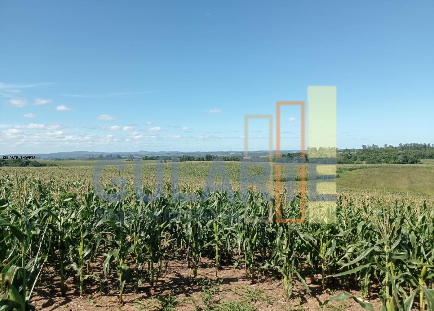 Fazenda, 360 hectares - Foto 14