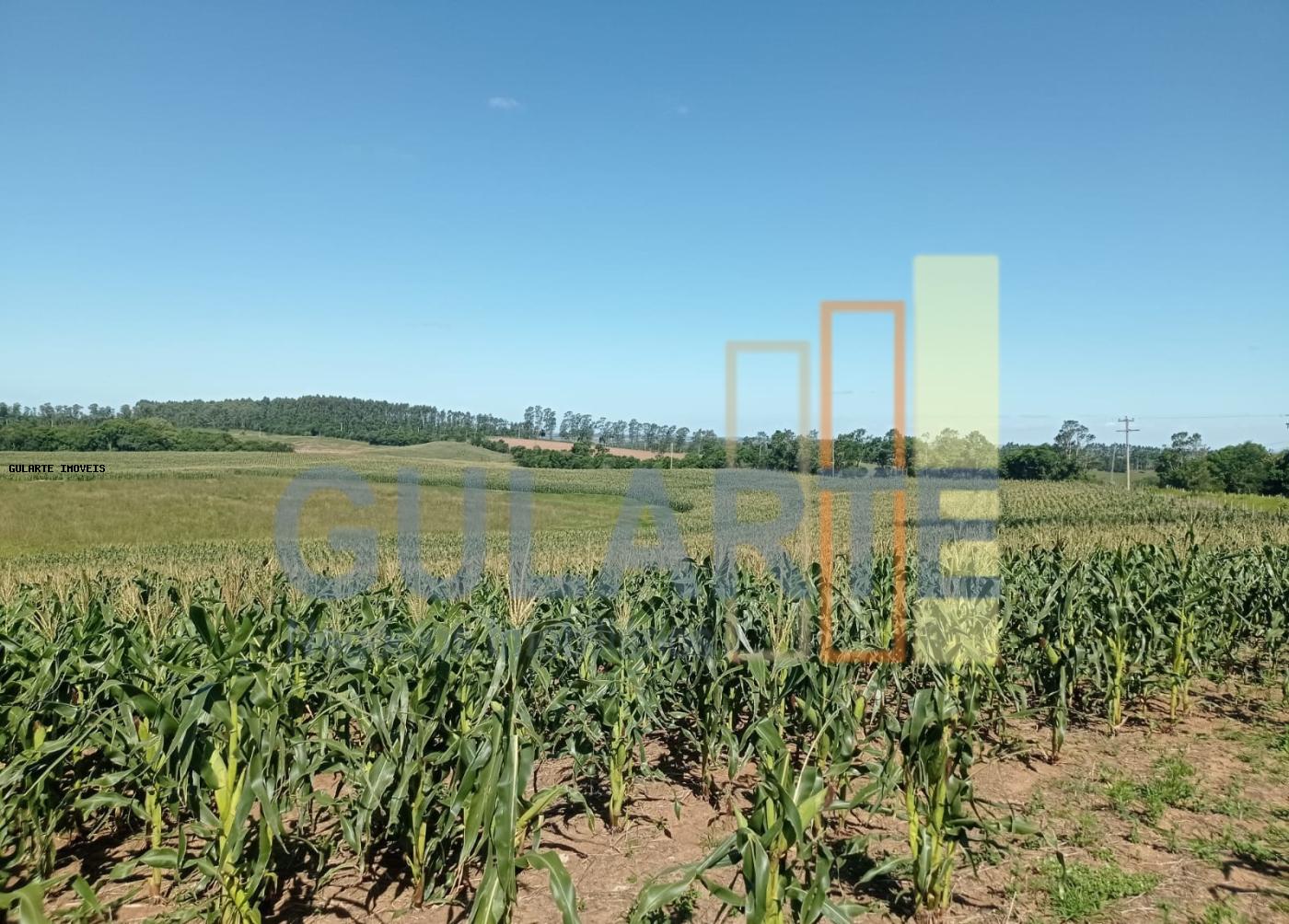 Fazenda, 360 hectares - Foto 13