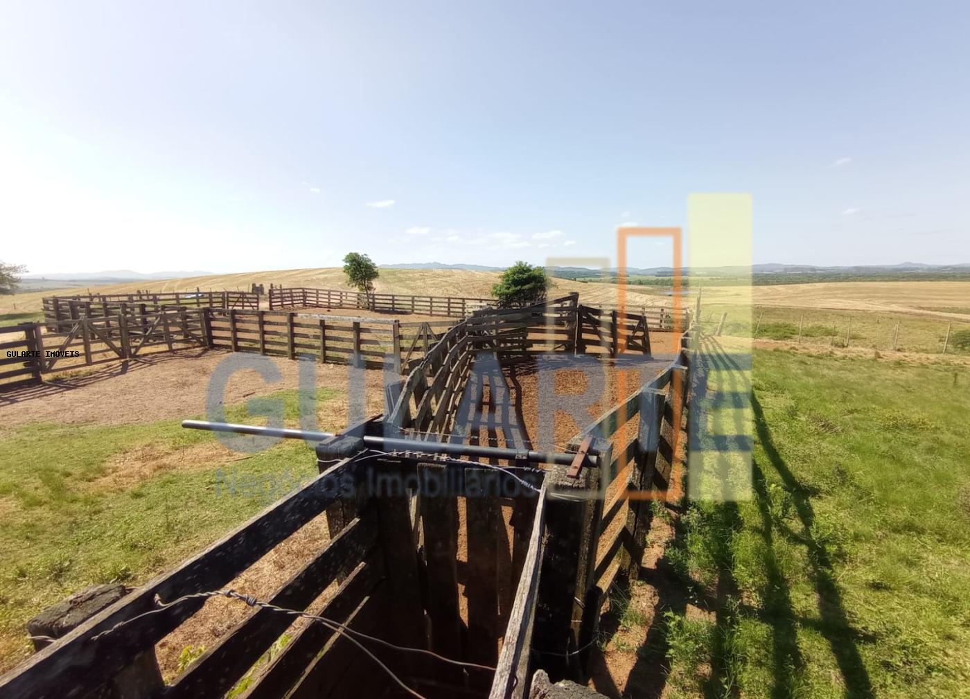 Fazenda, 360 hectares - Foto 15