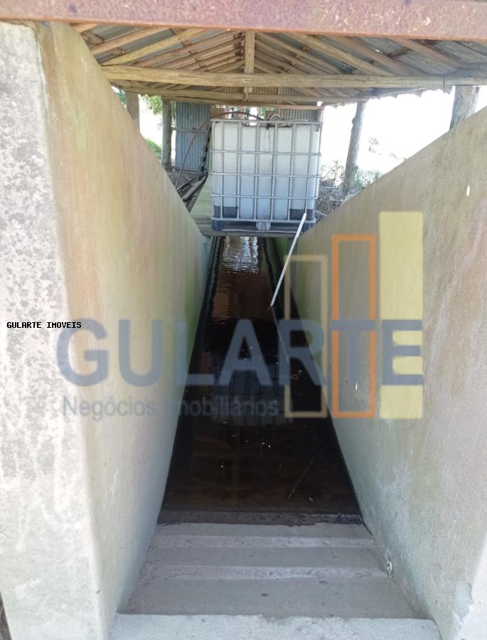 Fazenda, 360 hectares - Foto 16