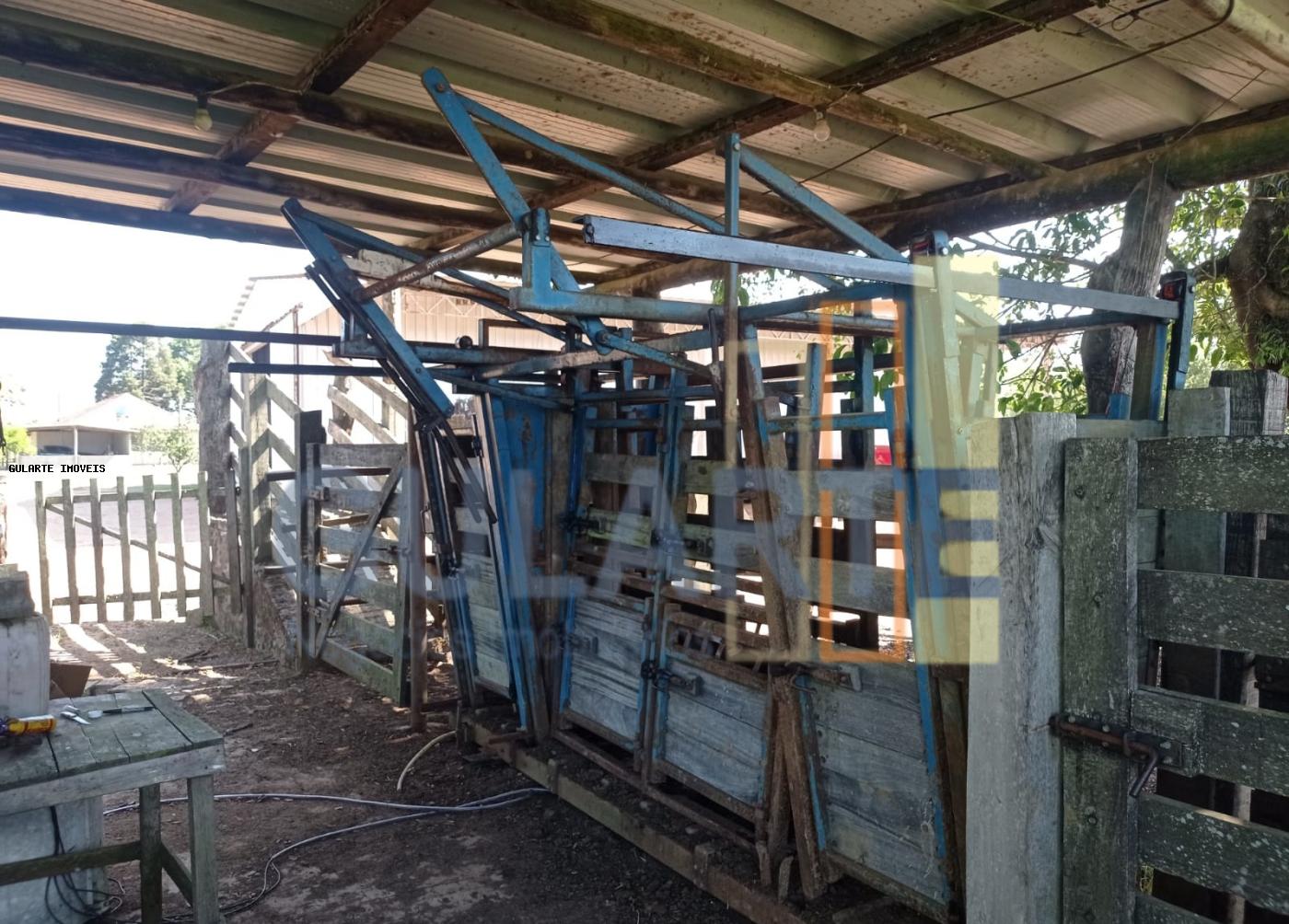 Fazenda, 360 hectares - Foto 17