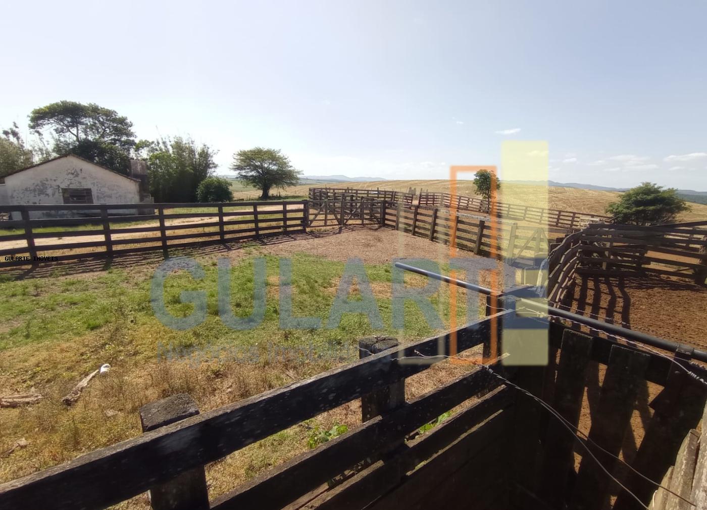 Fazenda, 360 hectares - Foto 18