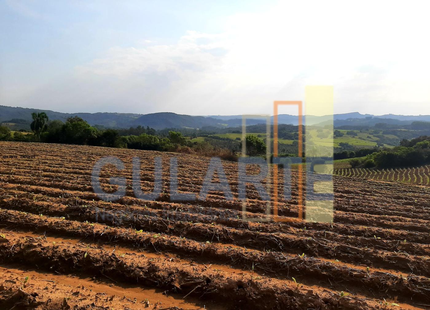 Sítio, 12 hectares - Foto 2