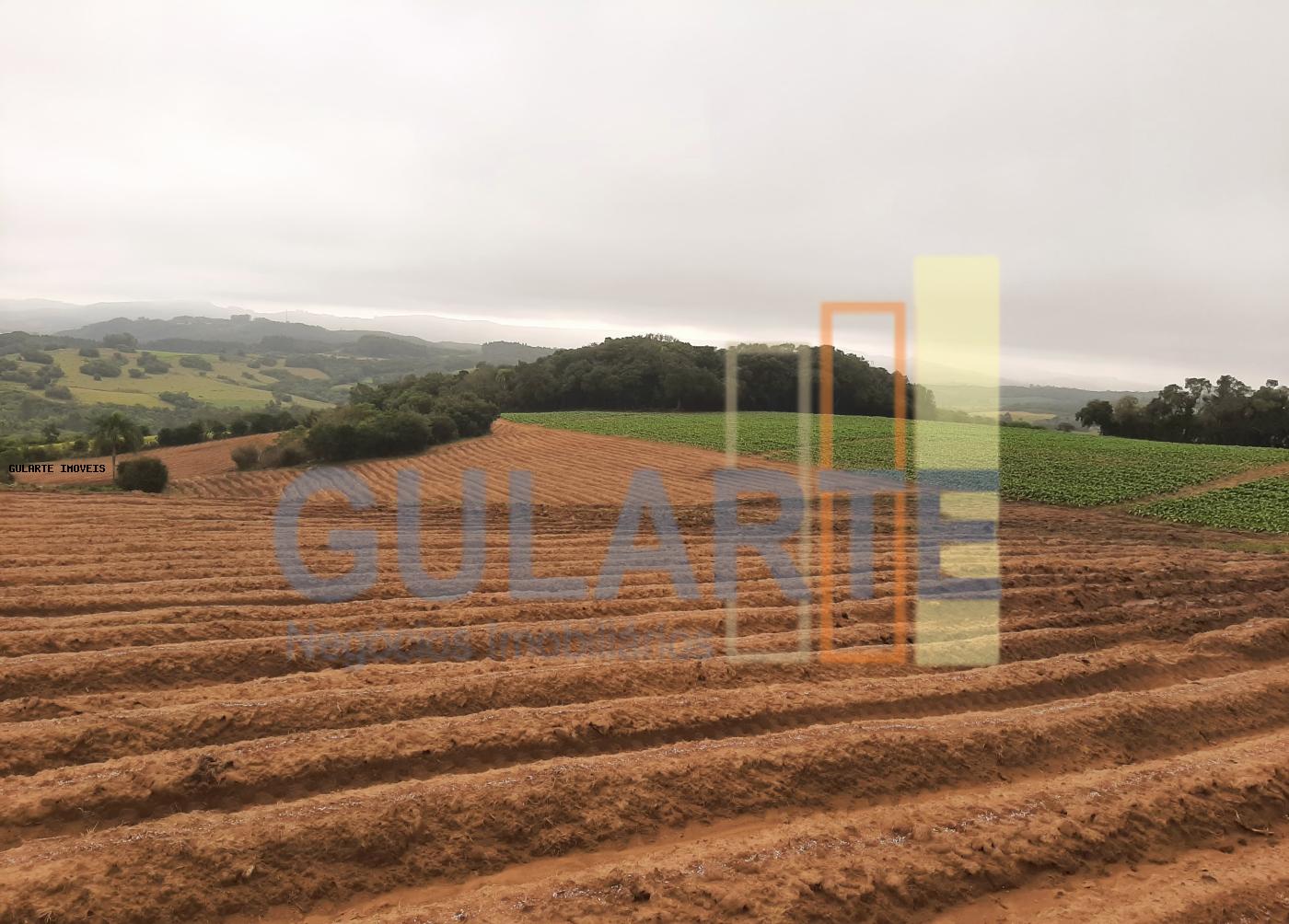 Sítio, 12 hectares - Foto 1