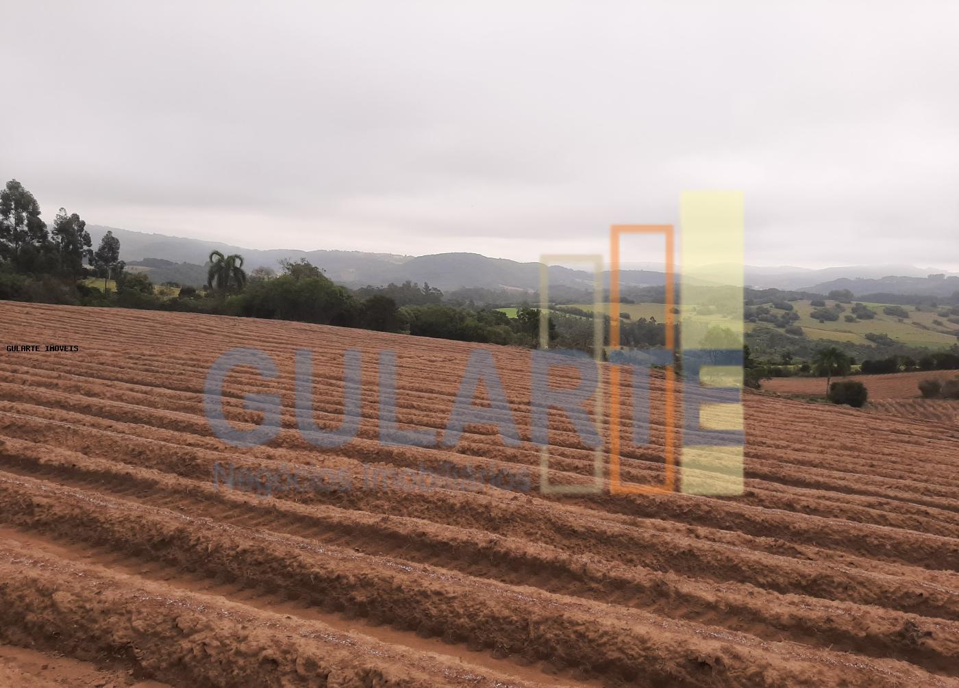 Sítio, 12 hectares - Foto 3