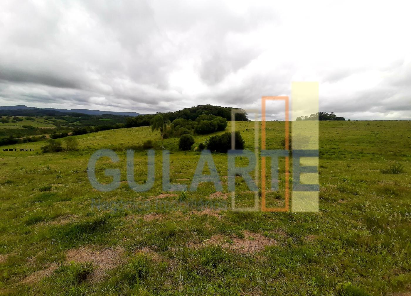 Sítio, 12 hectares - Foto 6