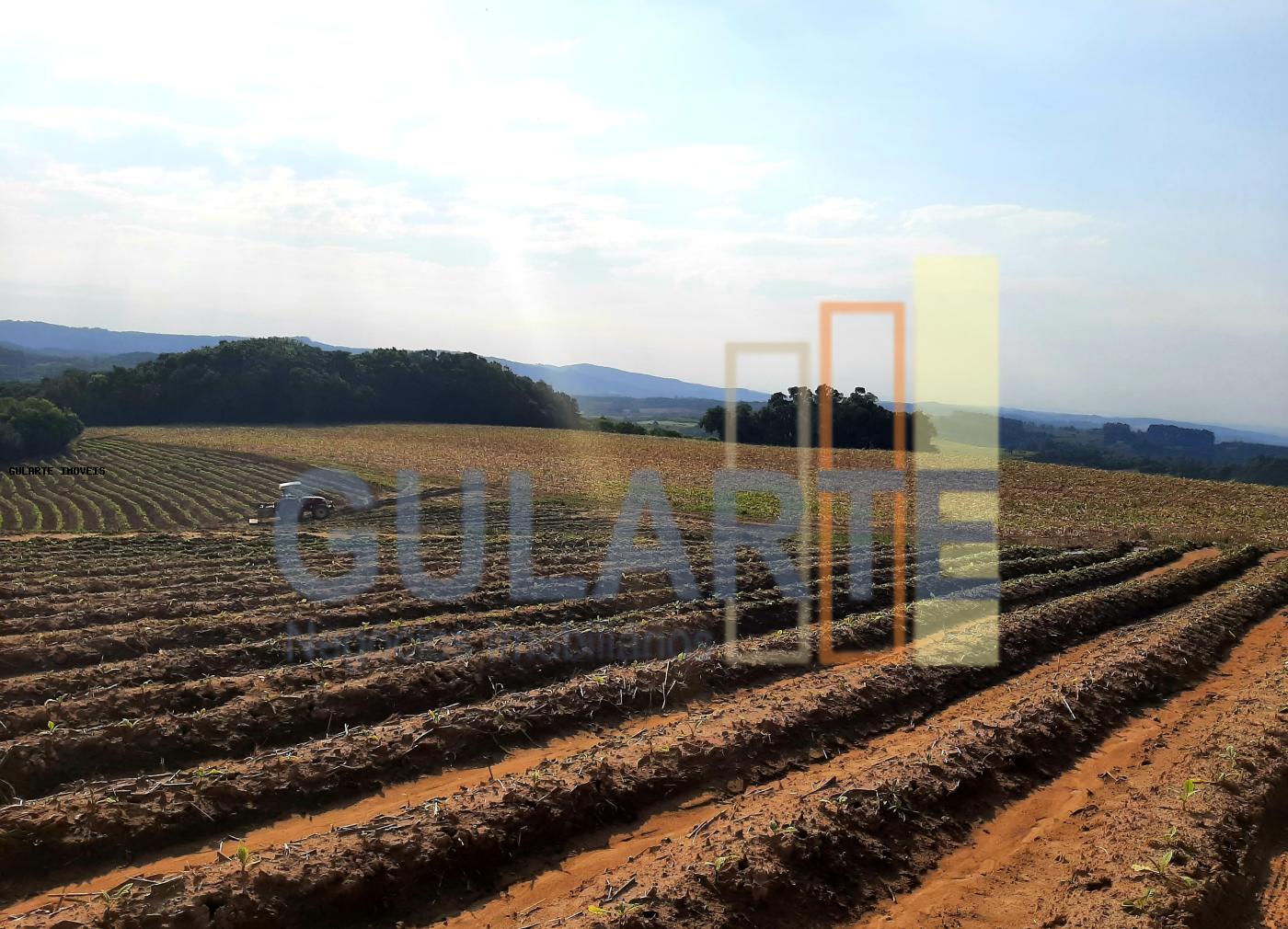 Sítio, 12 hectares - Foto 7