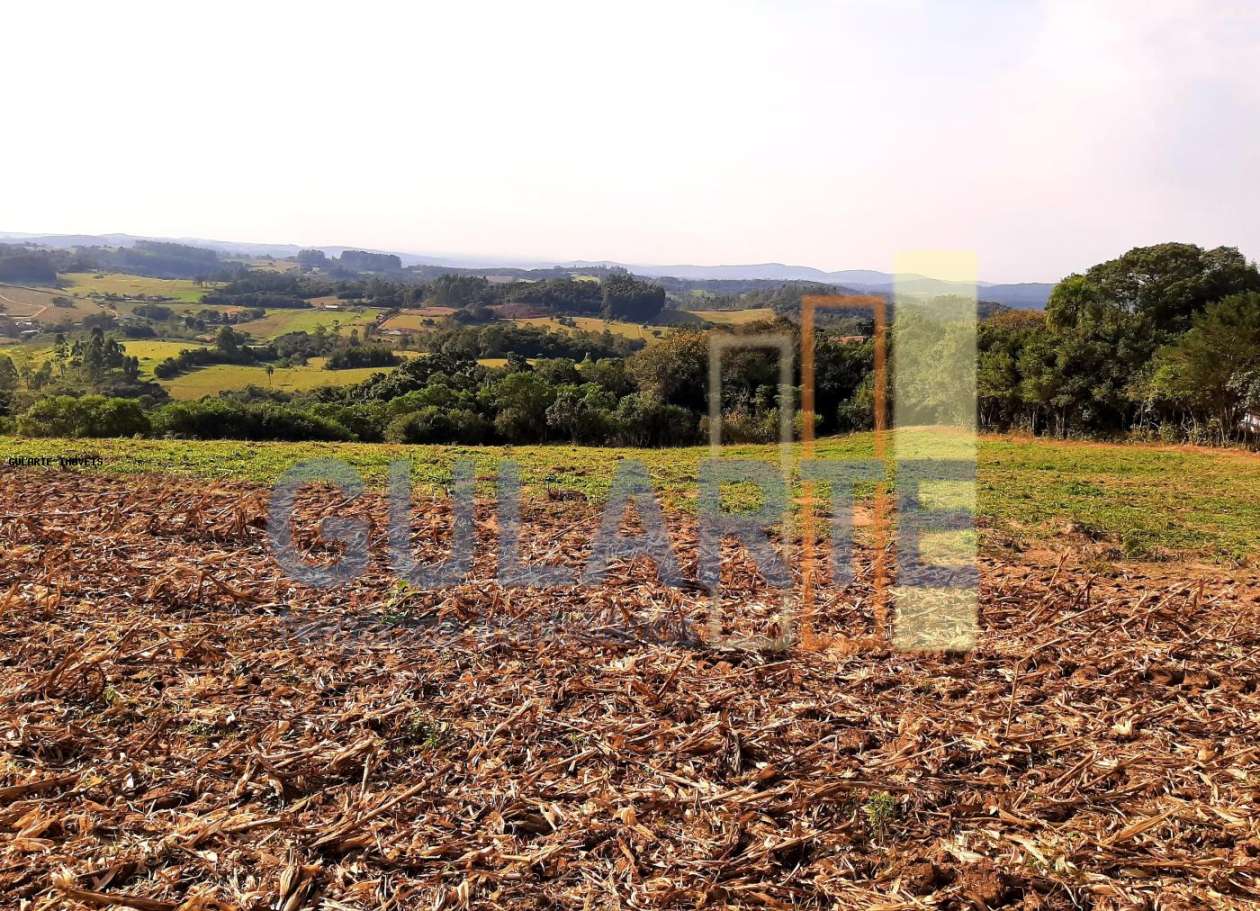 Sítio, 12 hectares - Foto 8