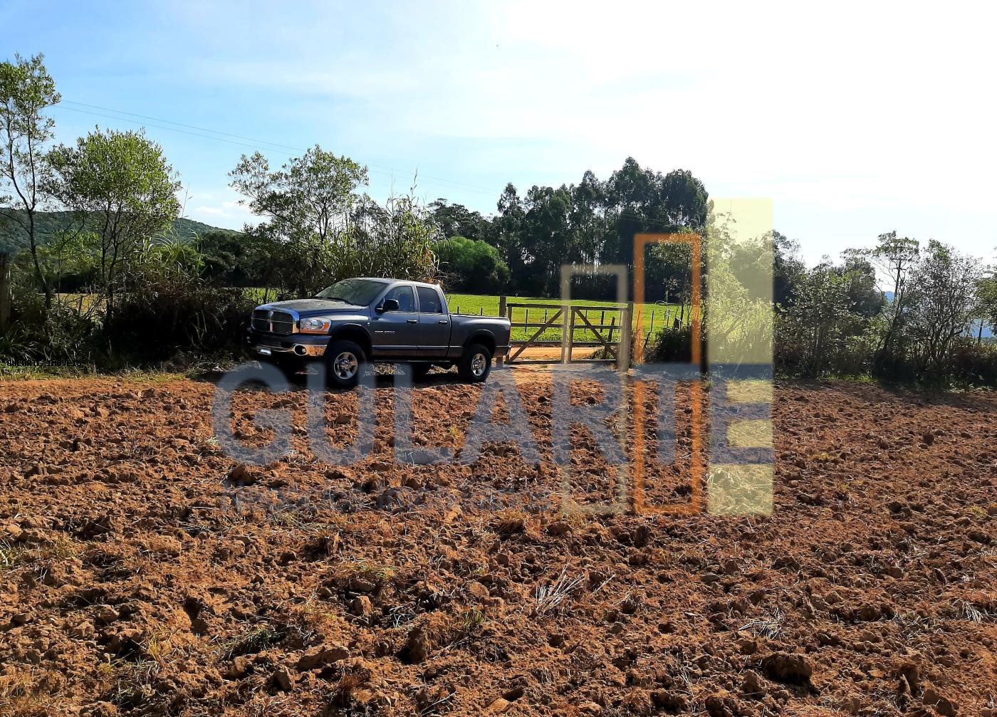 Sítio, 12 hectares - Foto 9