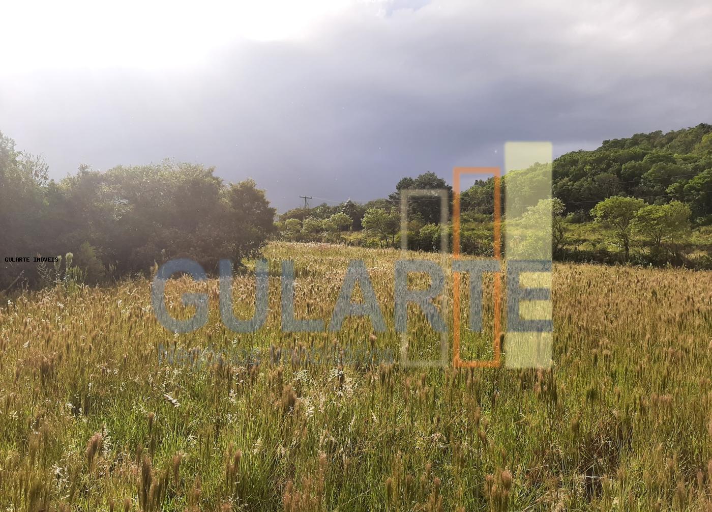 Sítio, 12 hectares - Foto 10