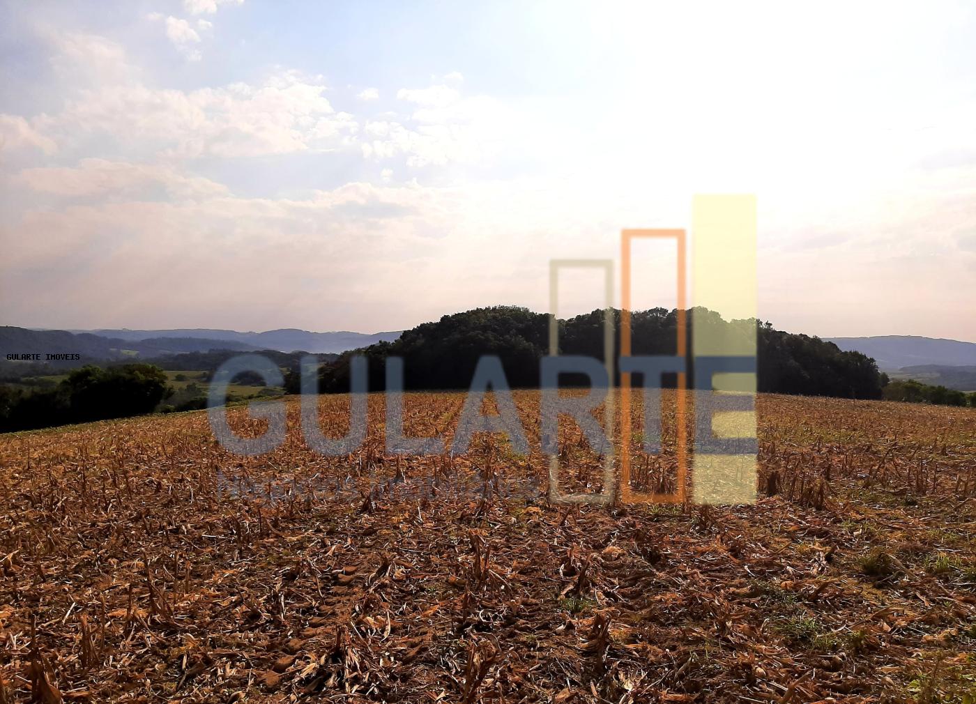 Sítio, 12 hectares - Foto 11