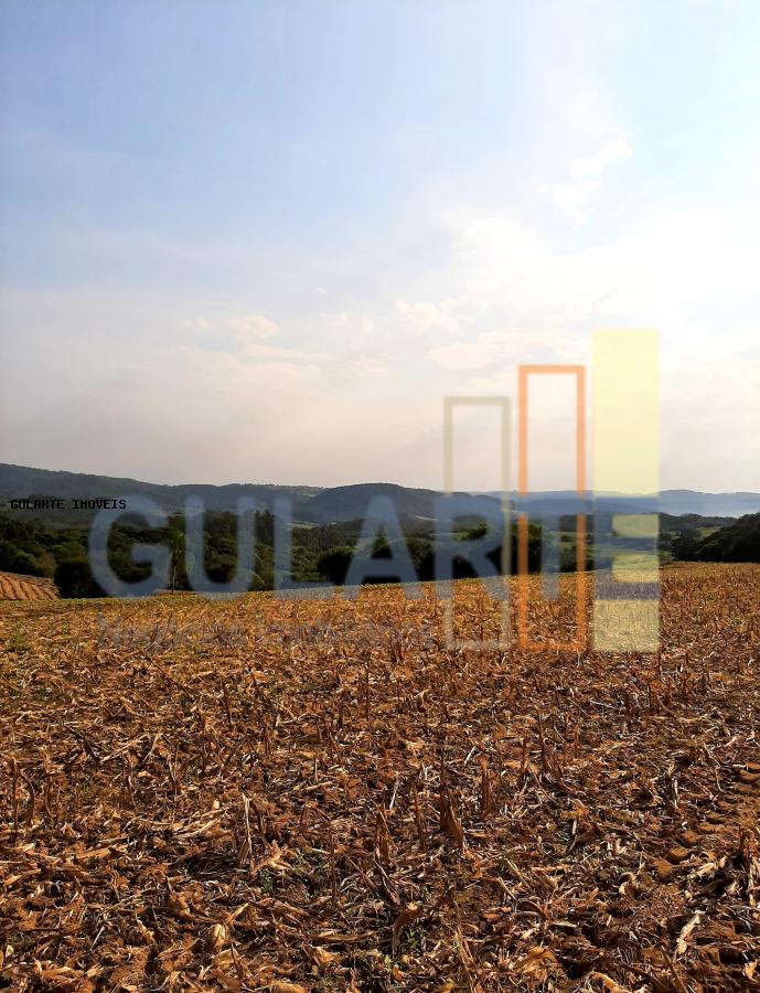 Sítio, 12 hectares - Foto 12