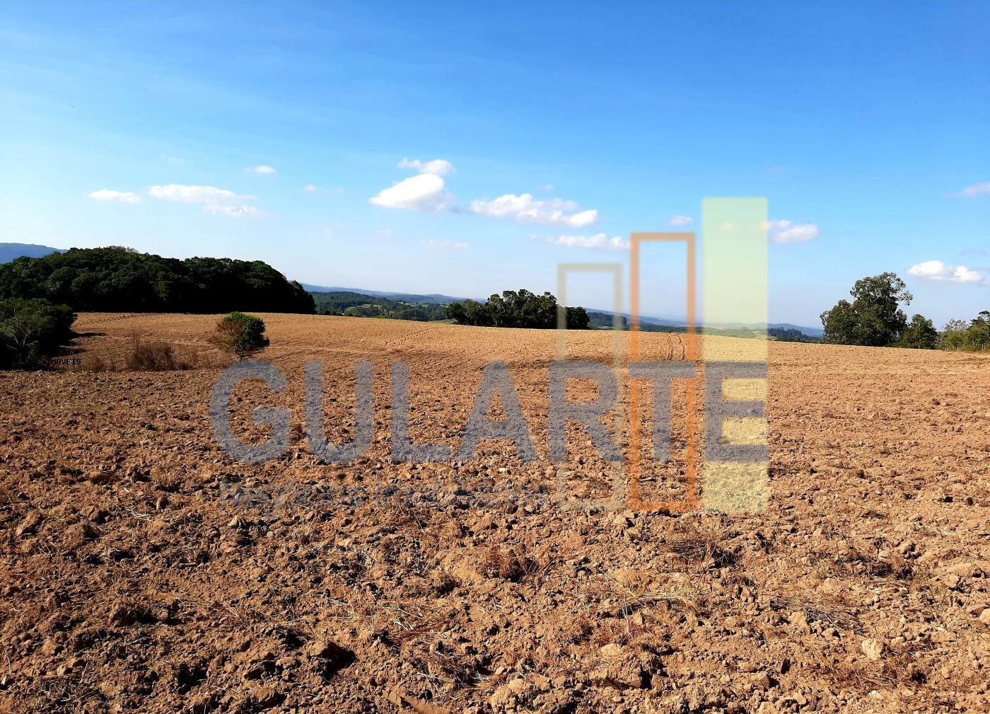 Sítio, 12 hectares - Foto 14