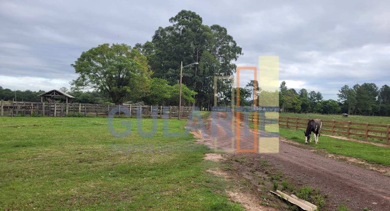 Fazenda, 458 hectares - Foto 1