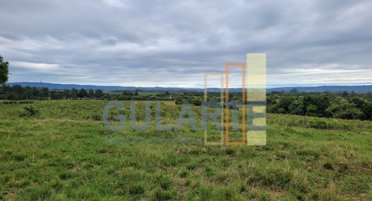 Fazenda, 458 hectares - Foto 4