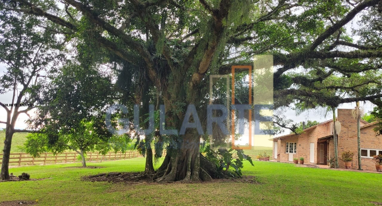 Fazenda, 458 hectares - Foto 7