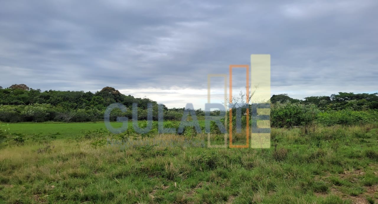 Fazenda, 458 hectares - Foto 10