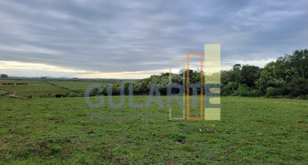 Fazenda, 458 hectares - Foto 11