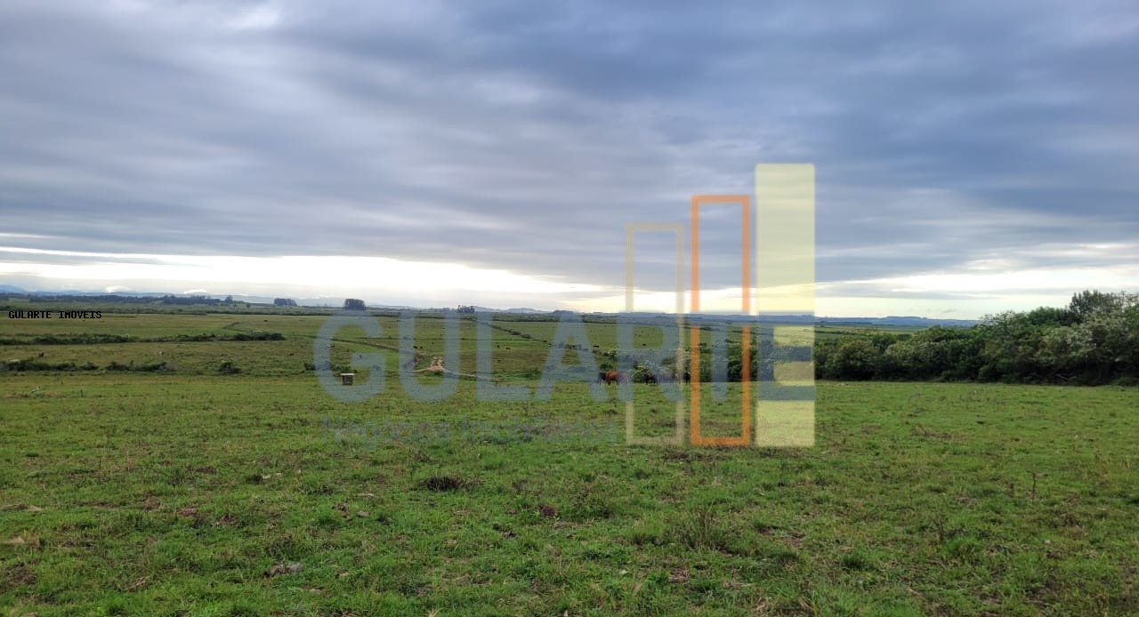 Fazenda, 458 hectares - Foto 13