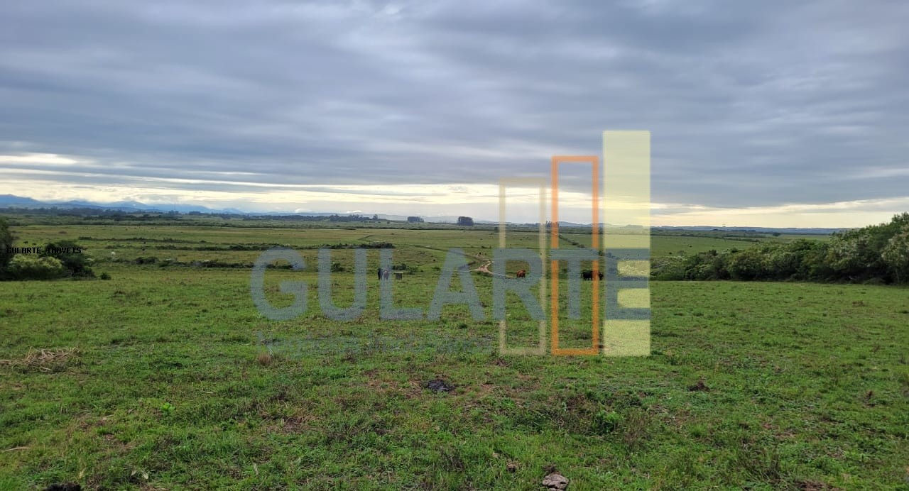 Fazenda, 458 hectares - Foto 14