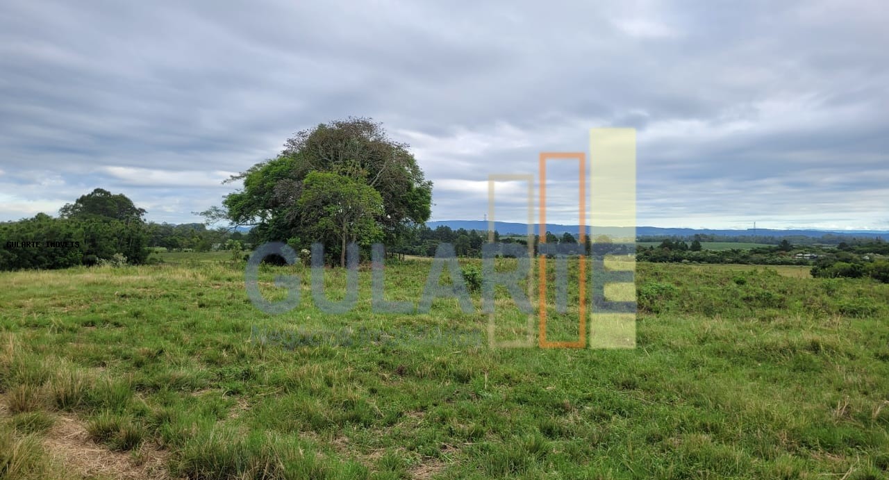 Fazenda, 458 hectares - Foto 15