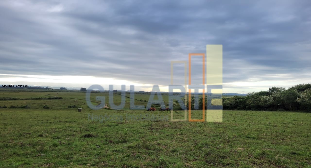 Fazenda, 458 hectares - Foto 12