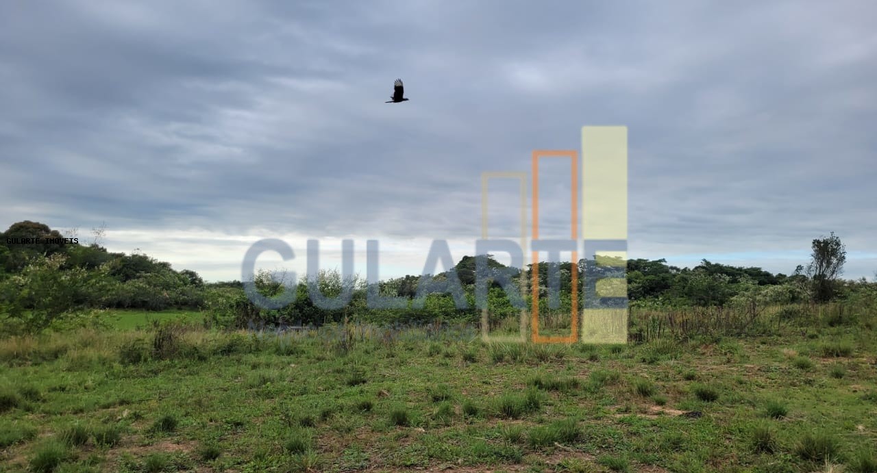 Fazenda, 458 hectares - Foto 19