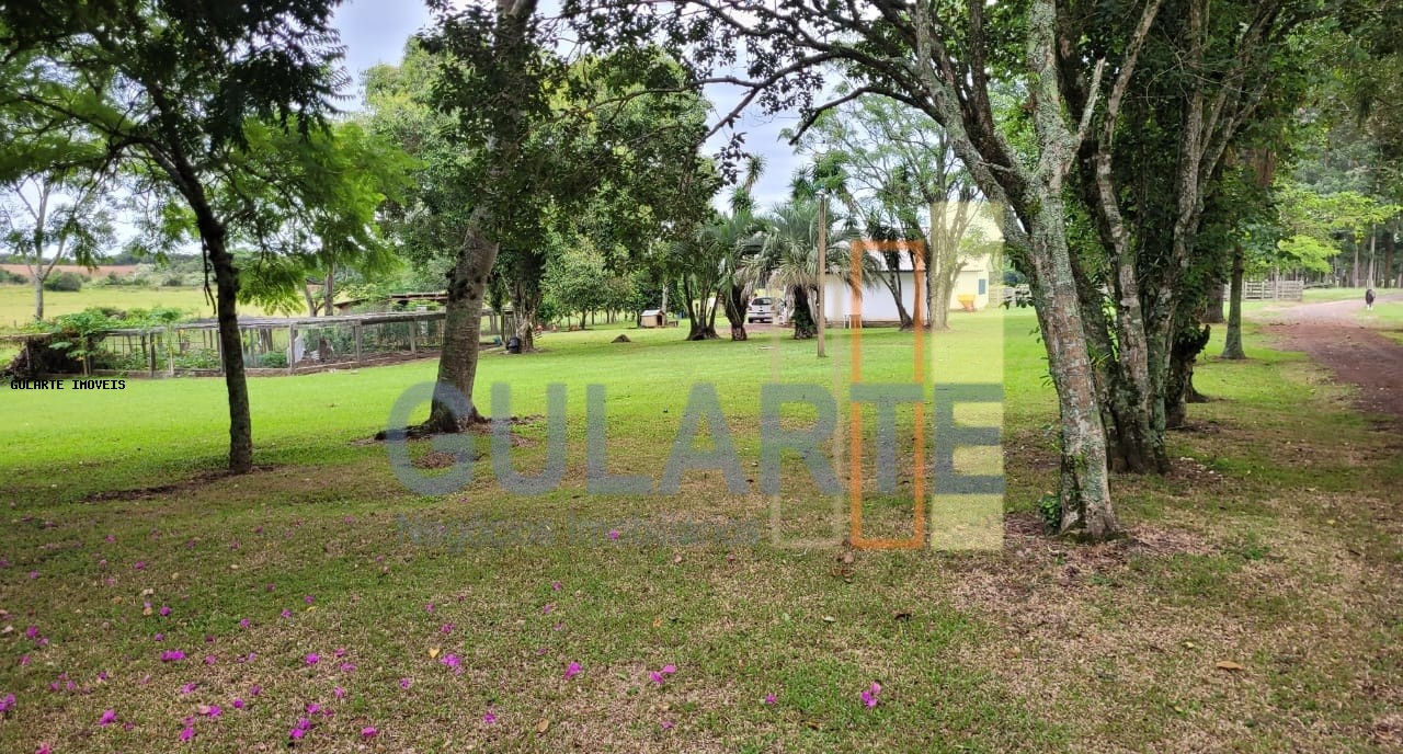 Fazenda, 458 hectares - Foto 16
