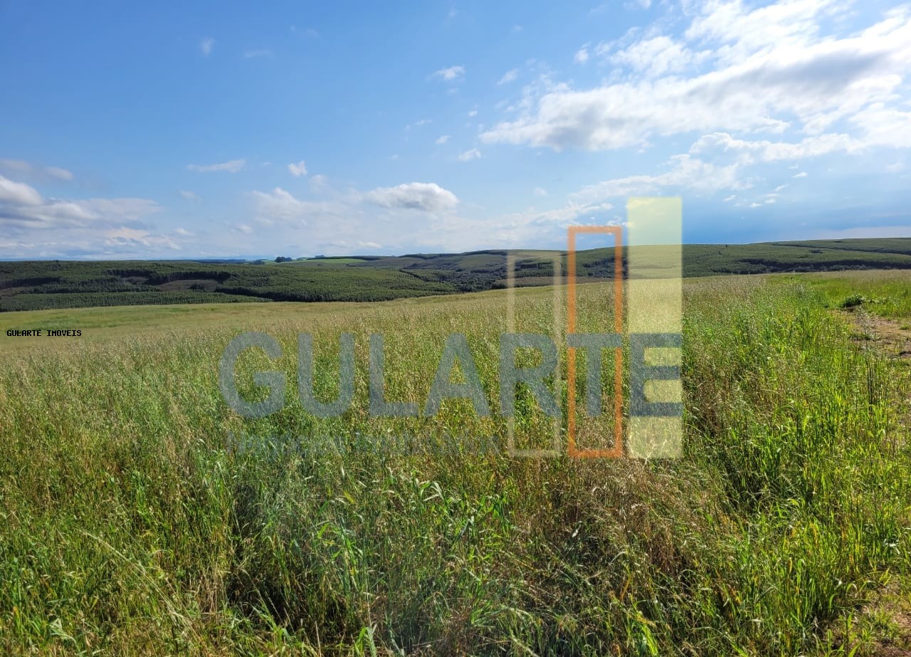 Fazenda à venda, 186m² - Foto 3