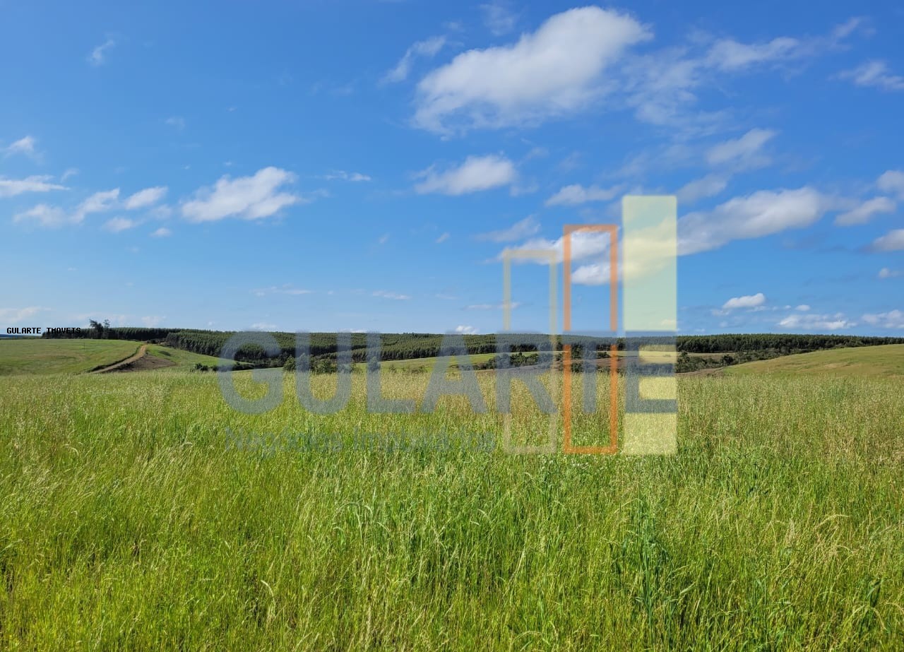 Fazenda à venda, 186m² - Foto 5