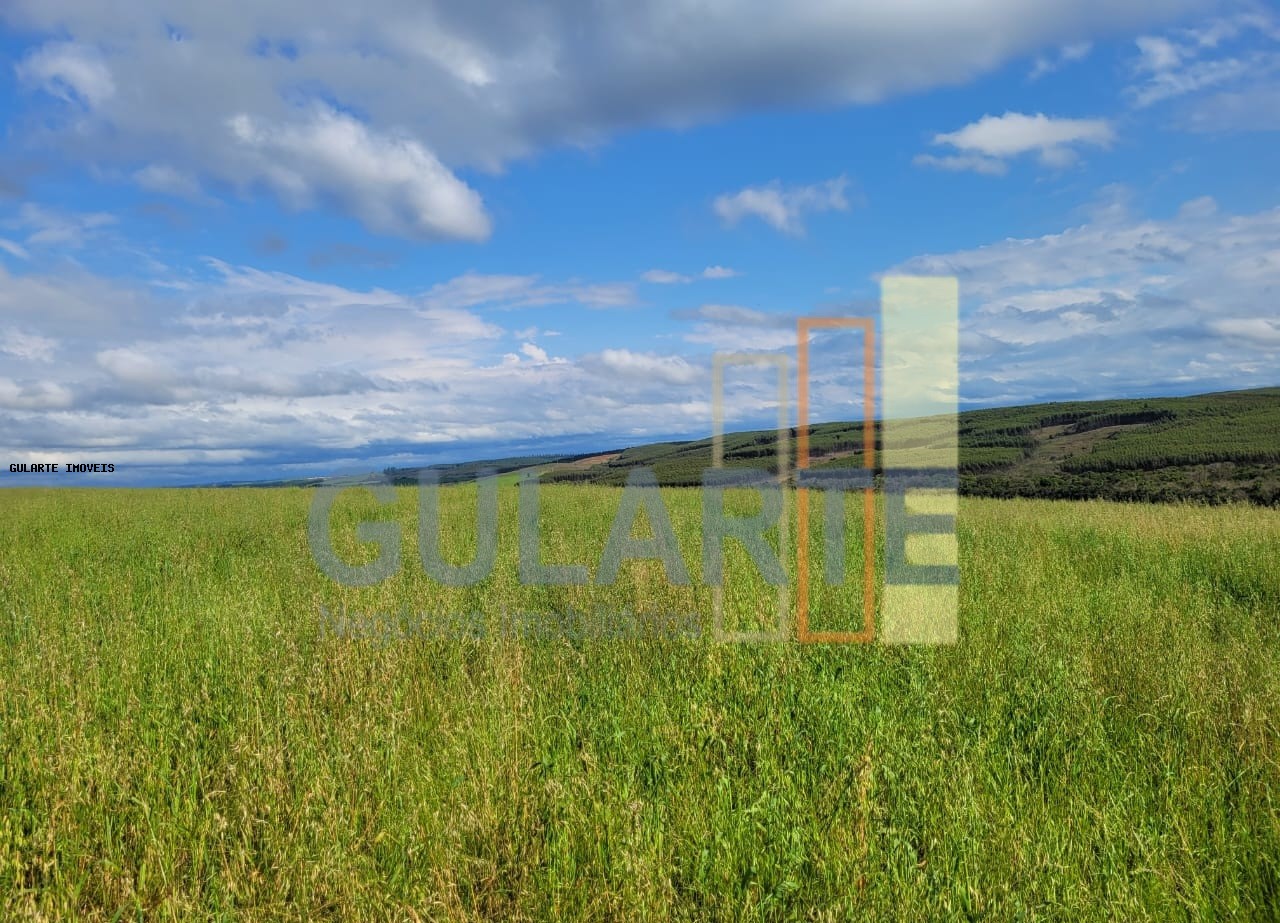 Fazenda à venda, 186m² - Foto 7