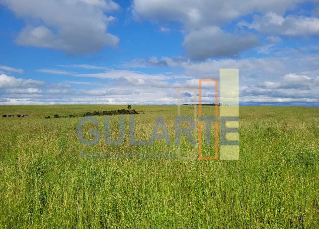 Fazenda à venda, 186m² - Foto 4