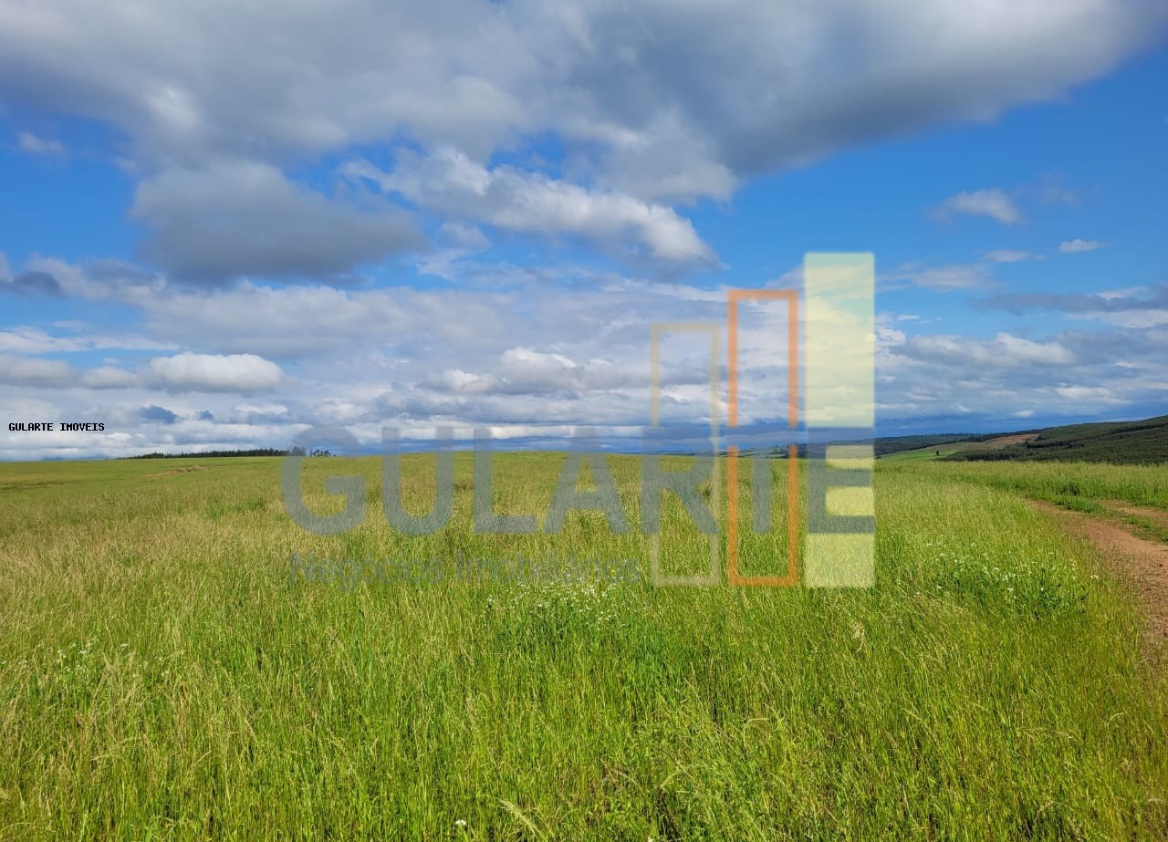 Fazenda à venda, 186m² - Foto 6