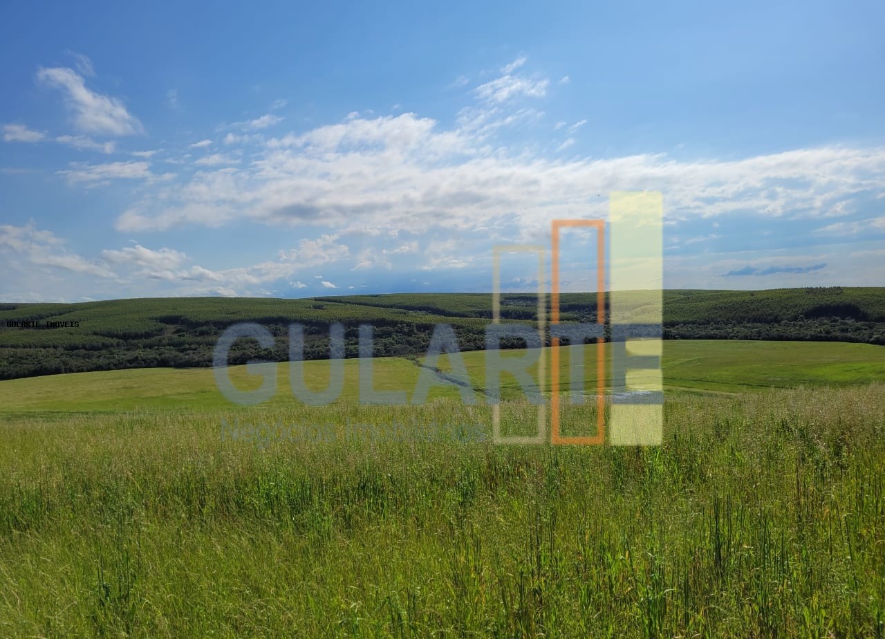 Fazenda à venda, 186m² - Foto 11