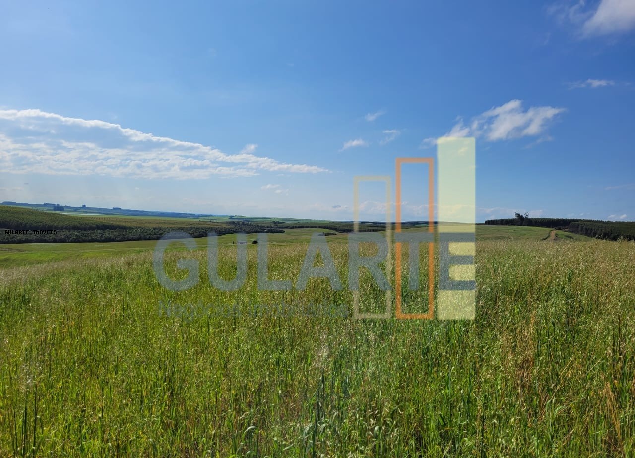 Fazenda à venda, 186m² - Foto 9