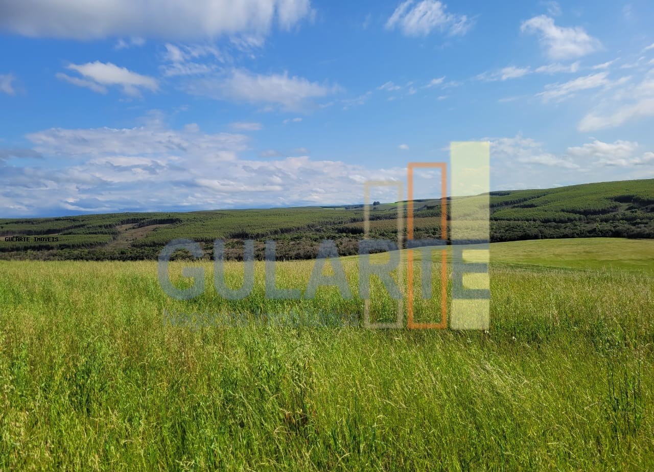 Fazenda à venda, 186m² - Foto 10
