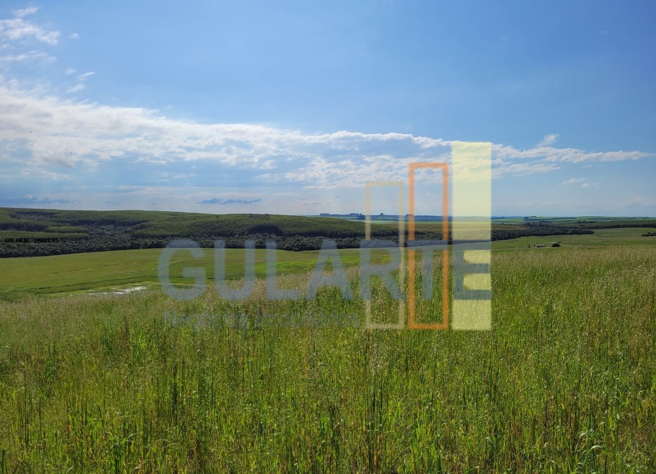 Fazenda à venda, 186m² - Foto 8