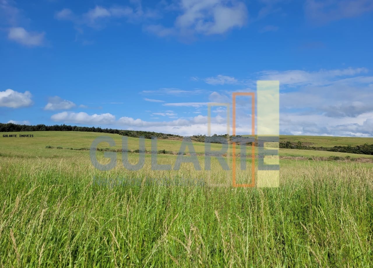 Fazenda à venda, 186m² - Foto 12