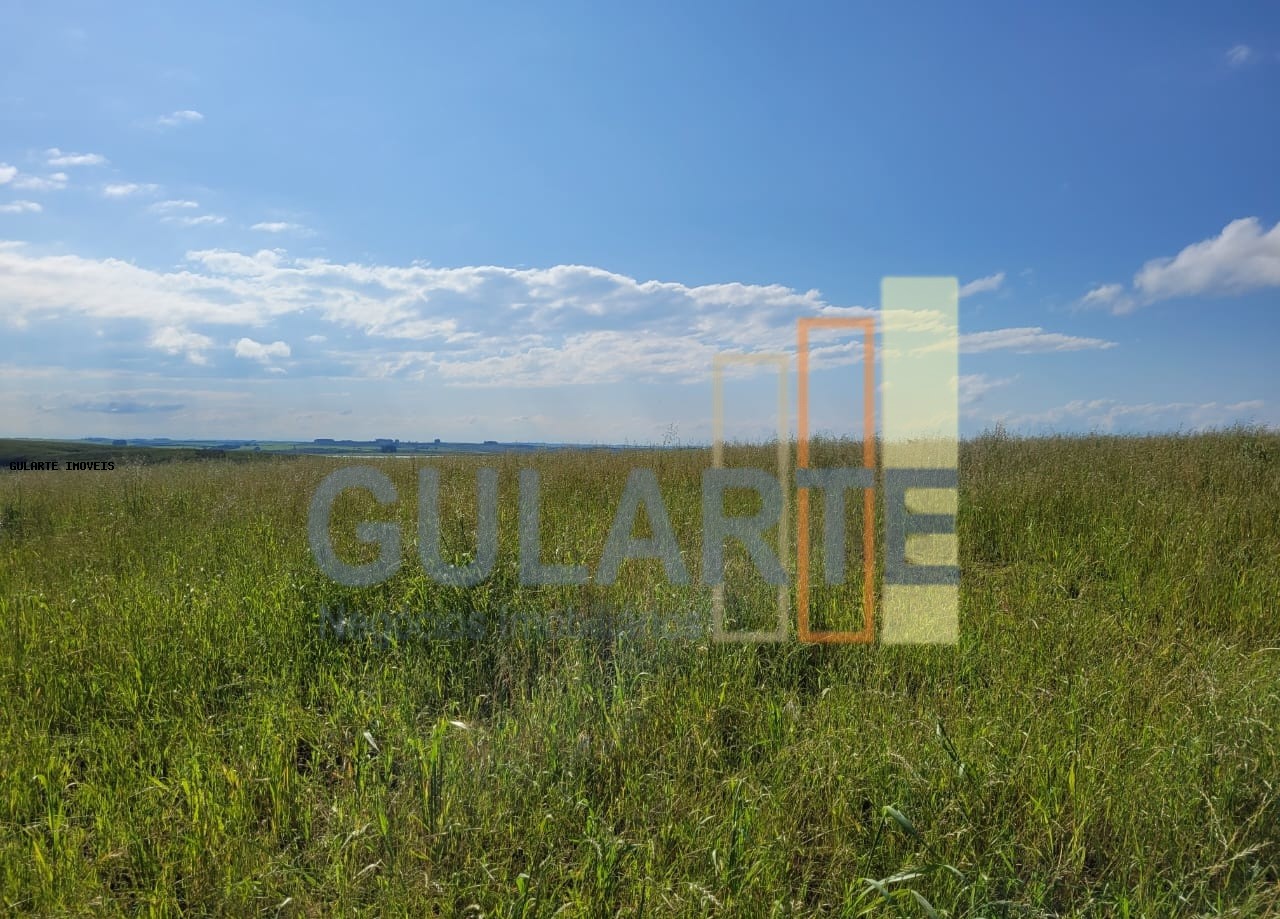 Fazenda à venda, 186m² - Foto 13
